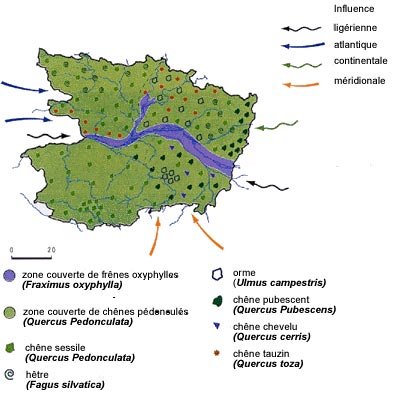 www.cg49 - Biotope - Maine et Loire