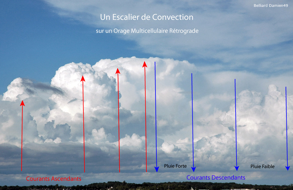 Photo-Schéma de cumulus congestus